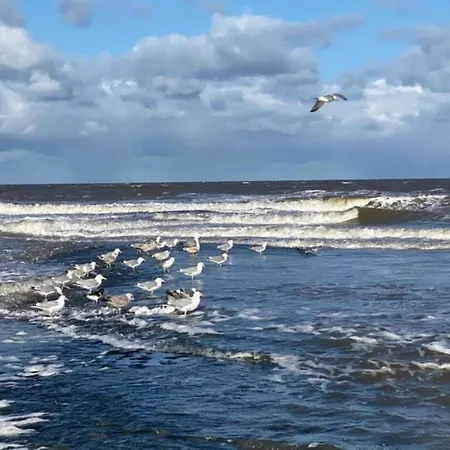דירה In Sint Maartenszee Near Sint Maartensvlotbrug