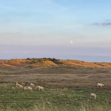 In Sint Maartenszee Near *