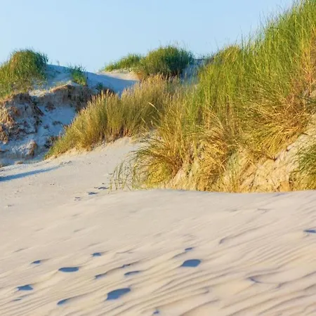 In Sint Maartenszee Near *