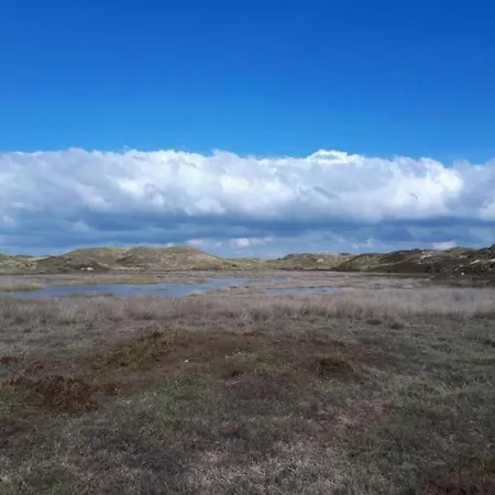In Sint Maartenszee Near Sint Maartensvlotbrug