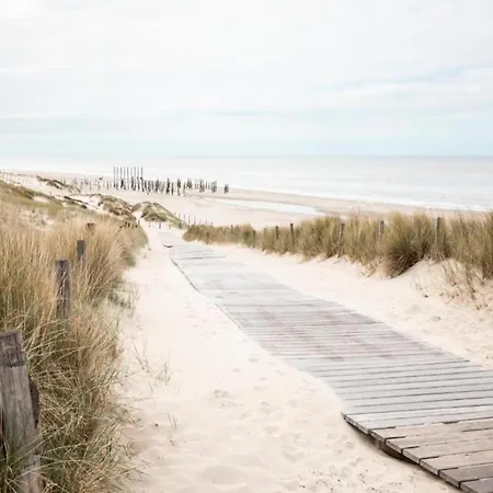 In Sint Maartenszee Near *