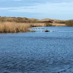 In Sint Maartenszee Near