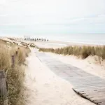 In Sint Maartenszee Near *