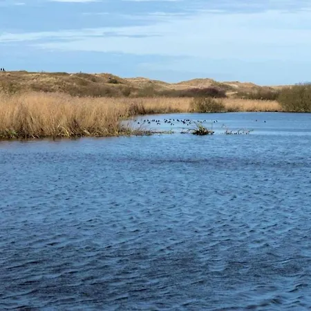 In Sint Maartenszee Near